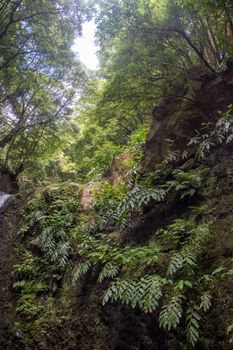 walk and discover the prego salto waterfall on the island of sao miguel, azores, Portugal.