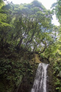 walk and discover the prego salto waterfall on the island of sao miguel, azores, Portugal.
