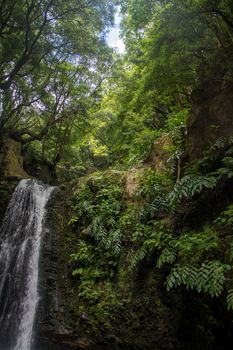 walk and discover the prego salto waterfall on the island of sao miguel, azores, Portugal.