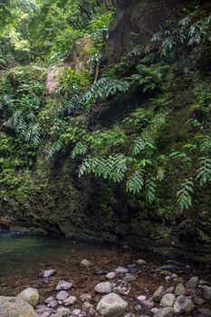 walk and discover the prego salto waterfall on the island of sao miguel, azores, Portugal.