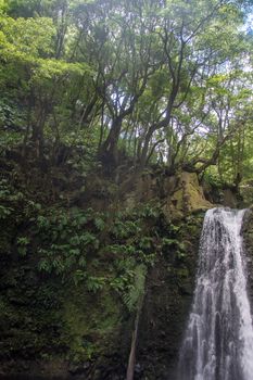 walk and discover the prego salto waterfall on the island of sao miguel, azores, Portugal.