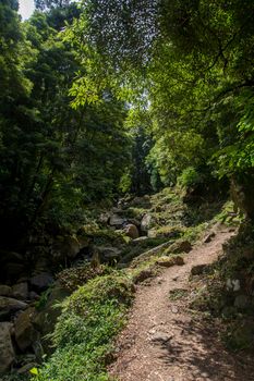 walk and discover the prego salto waterfall on the island of sao miguel, azores, Portugal.