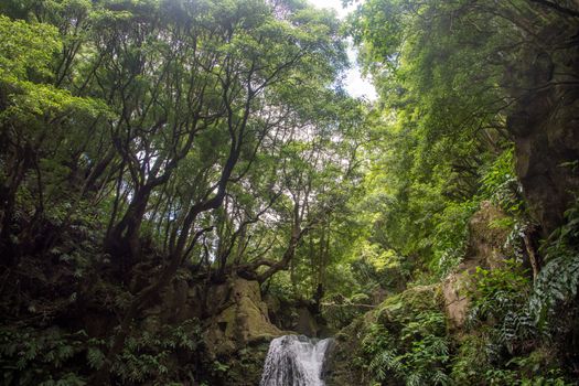 walk and discover the prego salto waterfall on the island of sao miguel, azores, Portugal.