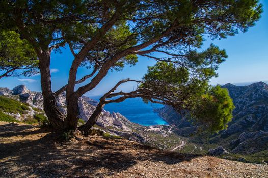 calanque de sormiou,marseille,bouche du rhone,france