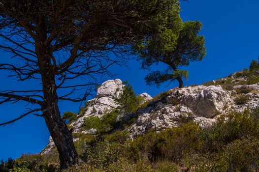 calanque de sormiou,marseille,bouche du rhone,france