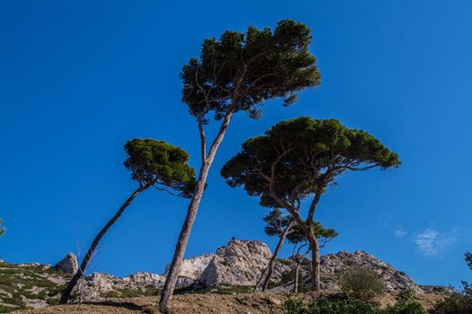calanque de sormiou,marseille,bouche du rhone,france