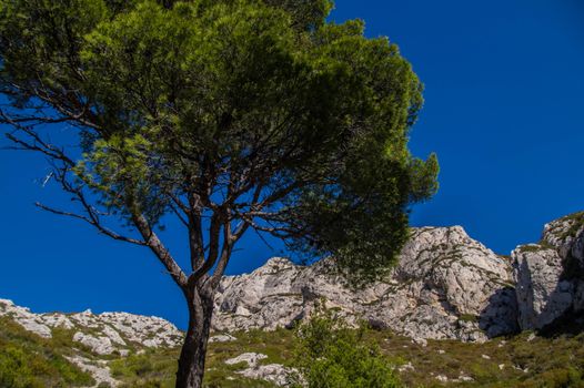 calanque de sormiou,marseille,bouche du rhone,france