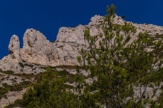 calanque de sormiou,marseille,bouche du rhone,france