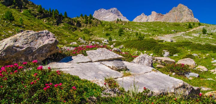 queyras regional park