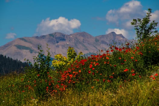 queyras regional park