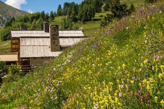 queyras regional park
