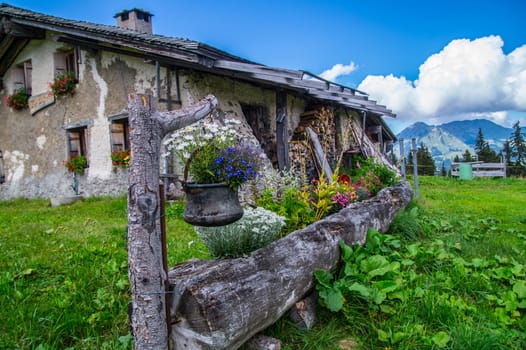landscape of the Swiss Alps