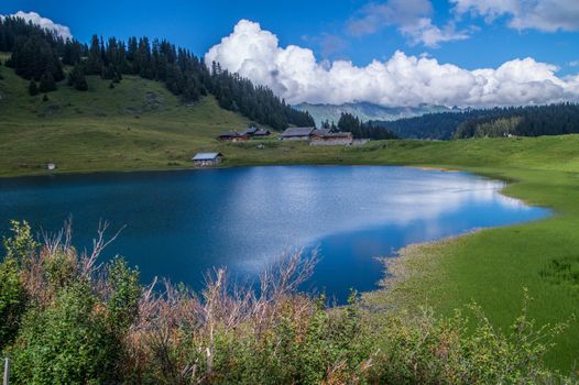 landscape of the Swiss Alps