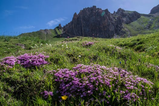 queyras regional park