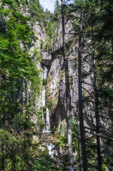 gorge in the Swiss Alps