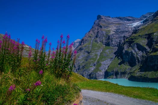 dam in the Swiss Alps