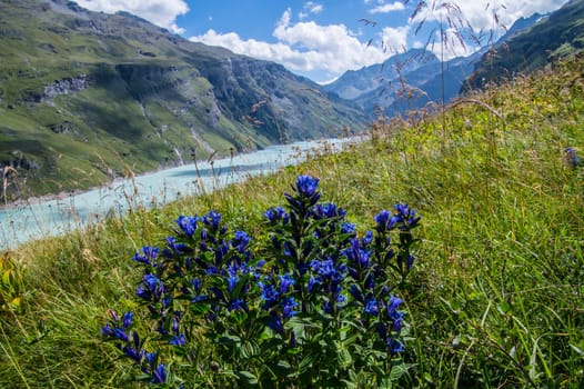 dam in the Swiss Alps