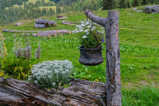 landscape of the Swiss Alps