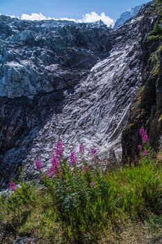 glacier in the French Alps
