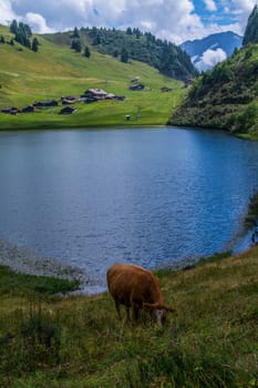 landscape of the Swiss Alps