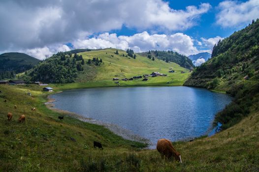 landscape of the Swiss Alps