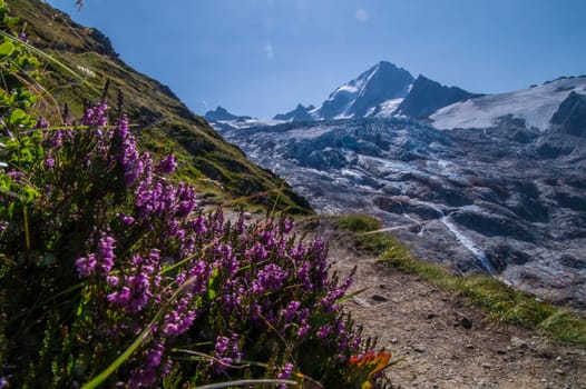 landscape of the French Alps