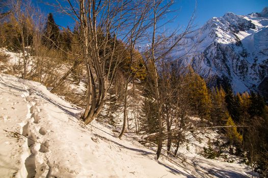 winter landscape of french alps