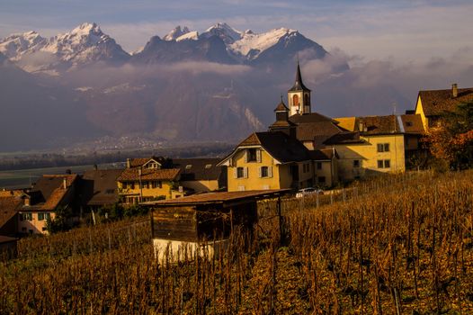 vineyard of lavaux