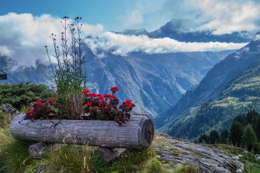 landscape of the Swiss Alps