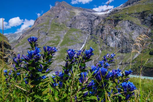 dam in the Swiss Alps