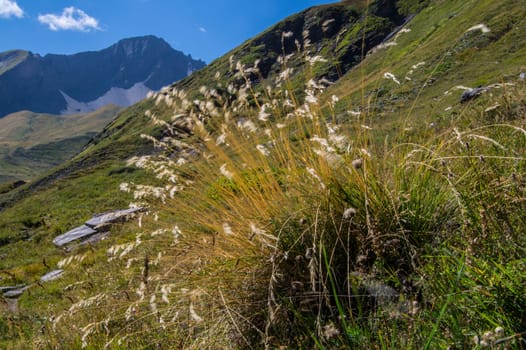 landscape of the Italian Alps