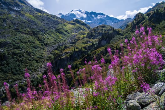 landscape of the Swiss Alps