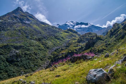 landscape of the Swiss Alps