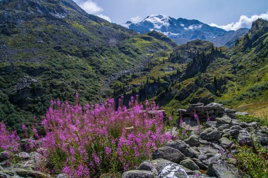landscape of the Swiss Alps