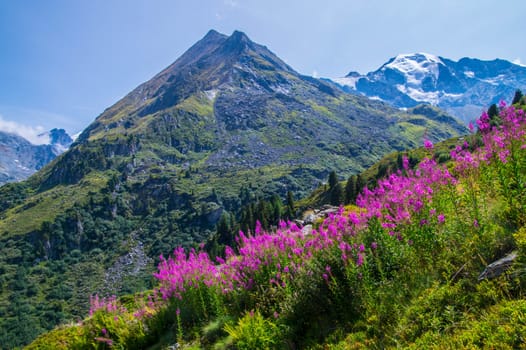 landscape of the Swiss Alps