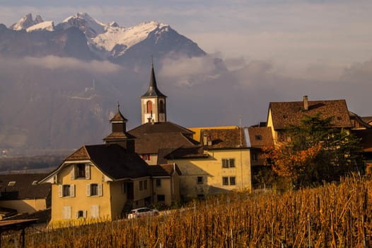 vineyard of lavaux