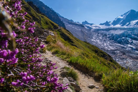 landscape of the French Alps