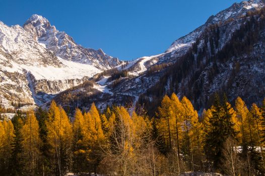 winter landscape of french alps