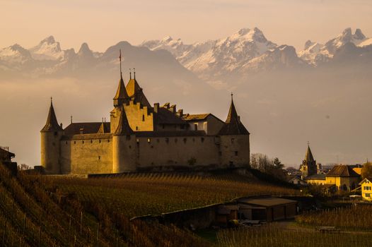 vineyard of lavaux