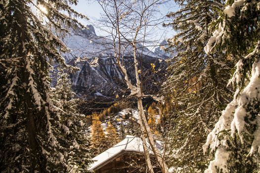 winter landscape of french alps