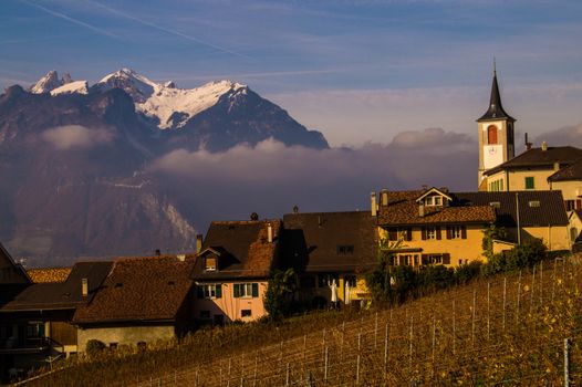 vineyard of lavaux