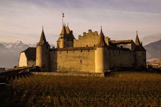 vineyard of lavaux