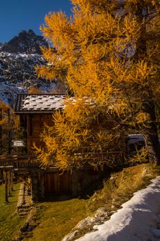 winter landscape of french alps