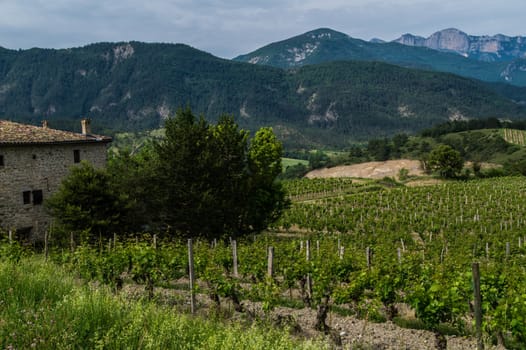 drome landscape
