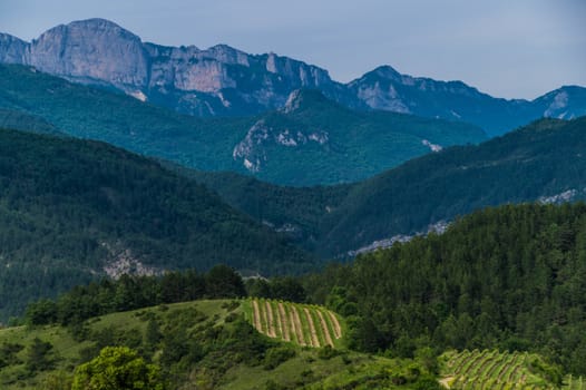 drome landscape