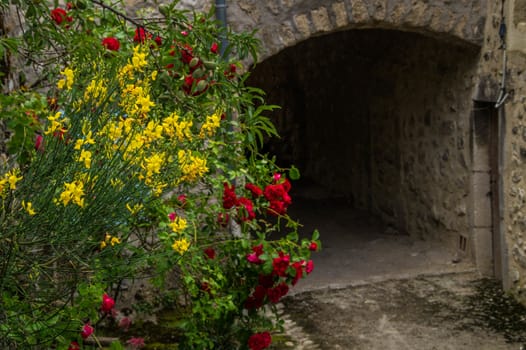 drome landscape