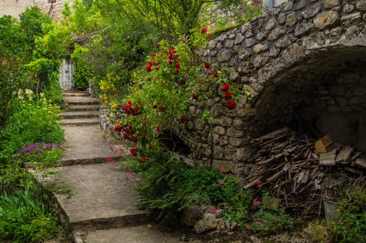 drome landscape