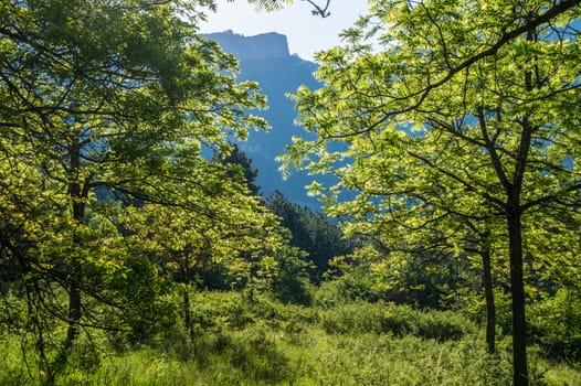 drome landscape