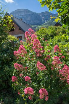 saint hilaire du touvet,isere,france