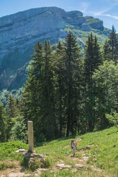 pass of pravouta,saint pierre de chartreuse,isere,france